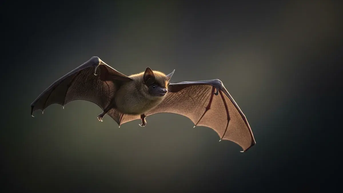 Cinematic photo of a bat
