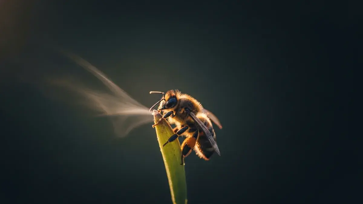 Cinematic photo of a bees