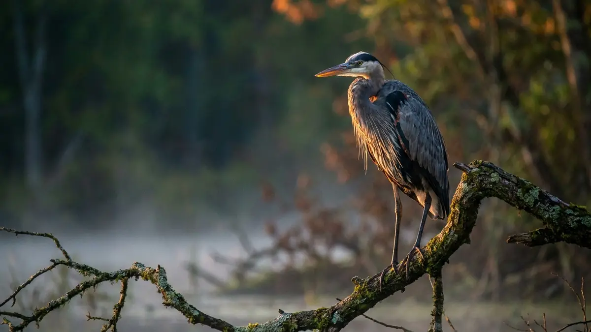 Cinematic photo of a bird