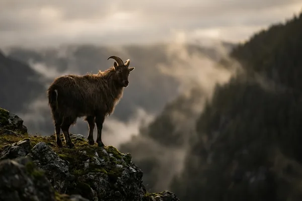 Cinematic photo of a goat